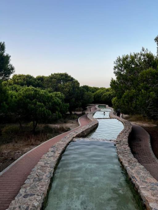 Apartament Viajeros Vinamar VII La Mata  Εξωτερικό φωτογραφία